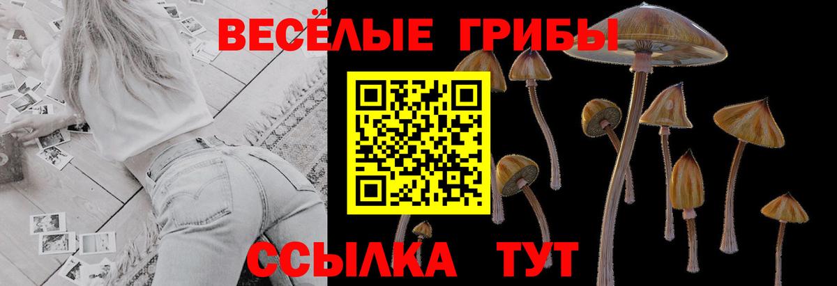 Лангепас  Псилоцибиновые грибы Psilocybe  закладка  Вход с VPN 