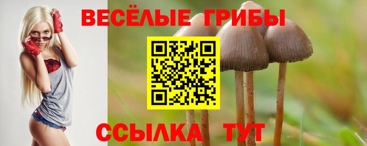 что такое наркотик  Лангепас  Галлюциногенные грибы MAGIC MUSHROOMS  Галлюциногенные грибы Cubensis 